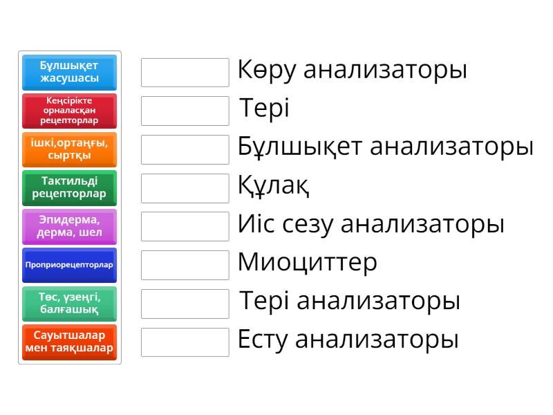 Анализатор - Match up