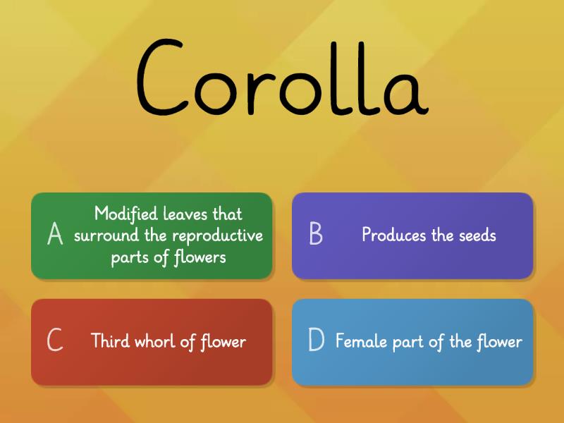 functions-of-the-parts-of-a-flower-quiz