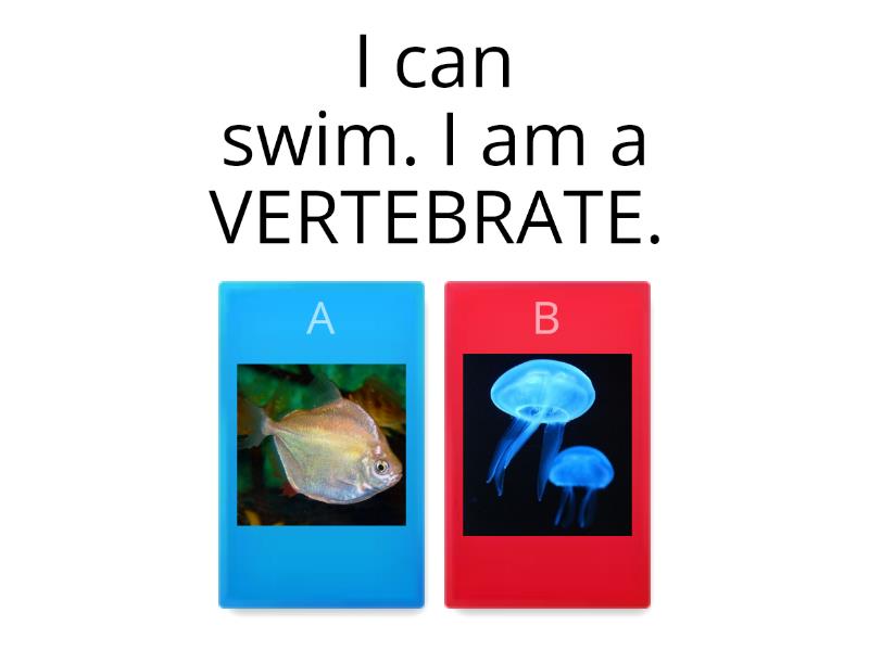 VERTEBRATES AND INVERTEBRATES - Quiz