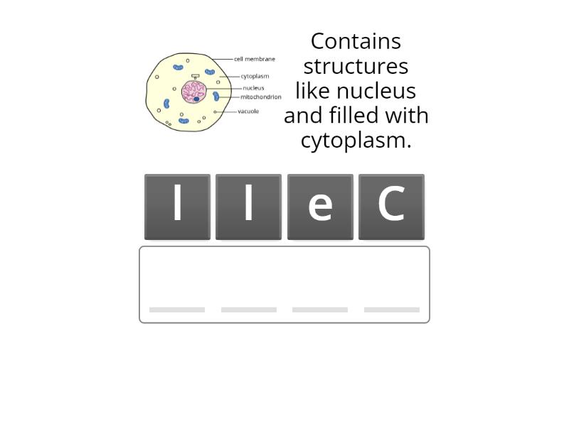 Plant and animal cells anagram