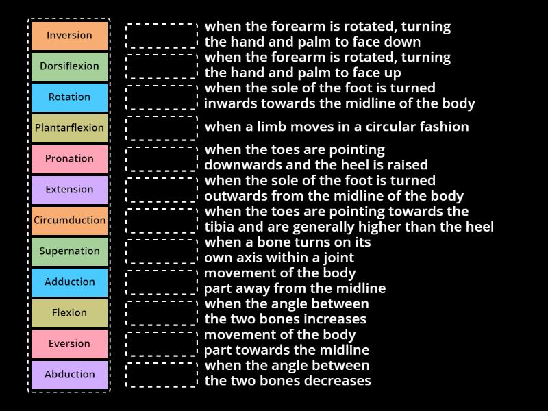 Types of Joint Movements - Match up
