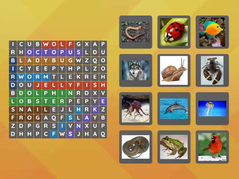 Vertebrates and Invertebrates - Wordsearch
