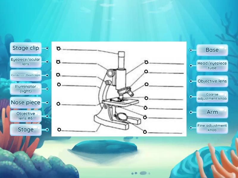 Parts of a Microscope - Labelled diagram