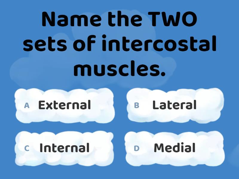 respiratory-system-quiz