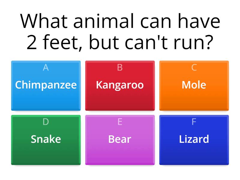 Riddle me this, riddle me that - Quiz