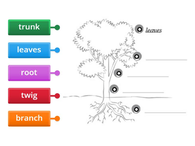 10 Advanced - Unit 5 - Lessons 9 - 10 - Label the diagram 2 - Diagrama ...