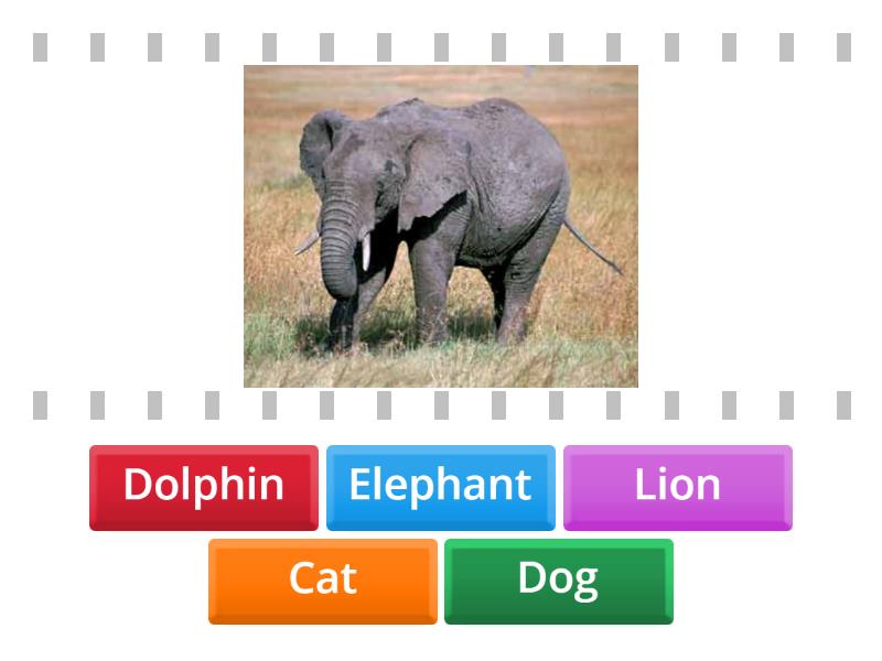 Guess??? - Find the match
