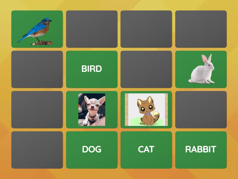 Pets memory game kids can 1 unit 3 matching pairs