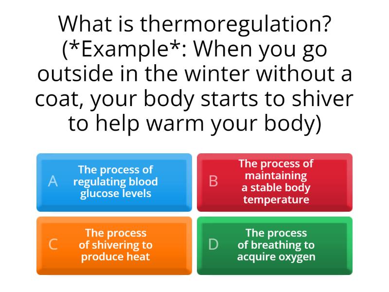 Homeostasis and Cellular Respiration Review Cuestionario