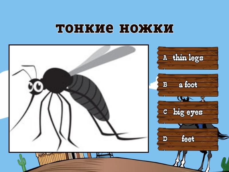 _ Spotlight Module 5 Lessons 9a-9b - Quiz