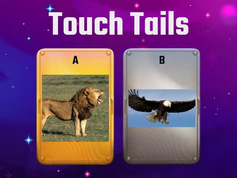 Tails/ Wings - Quiz