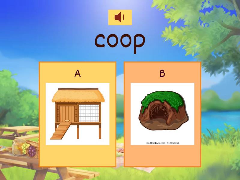 Animal Homes Quiz