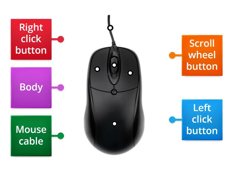 LABEL THE PARTS OF THE COMPUTER MOUSE. - Labelled diagram