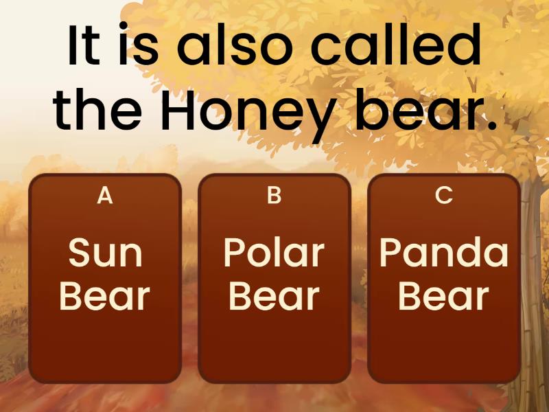 Do Bears Like Honey? - Quiz