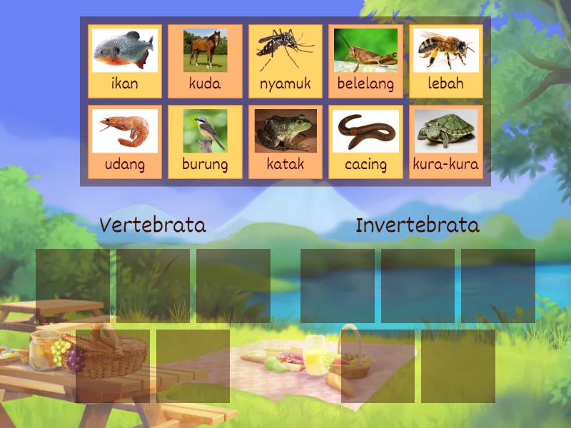 Sains Tahun 4 - Haiwan Vertebrata dan Invertebrata - Group sort