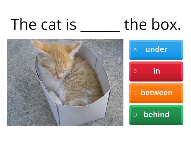 Prepositions Of Place - Quiz