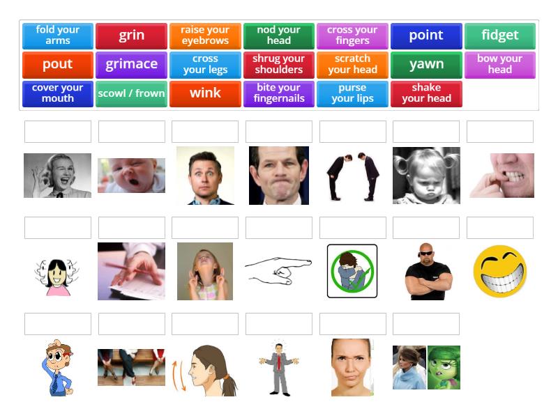 Body Language (verbs) - Match up