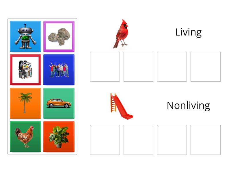 Living or Nonliving - Group sort