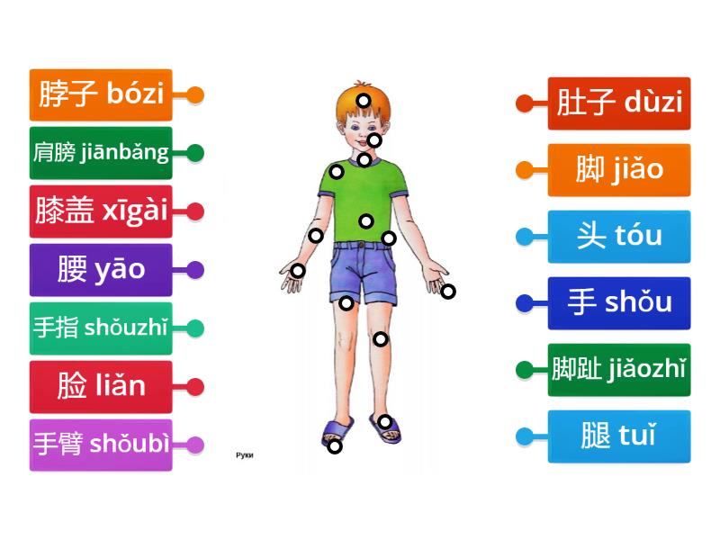 labelled-diagram