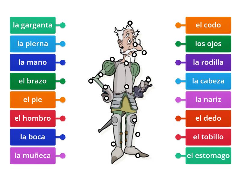 Module Los Partes Del Cuerpo Labelled Diagram