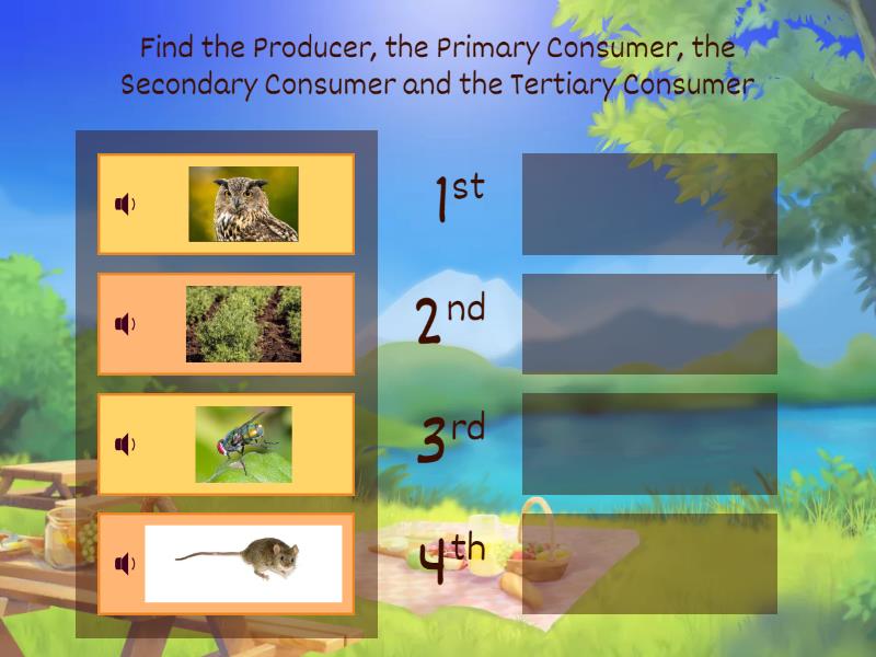 2 - FOOD CHAIN - Rank order