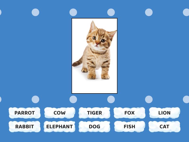 ANIMALS.... FOR GRADE 3 PREPARED BY M.A. SUDARSHANI... KG/BOYAGAMA M.V ...