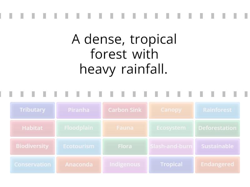 Amazon vocabulary Find the match