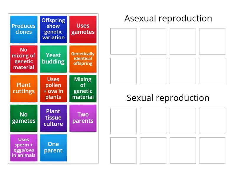 Asexual Vs Sexual Reproduction Group Sort 7120