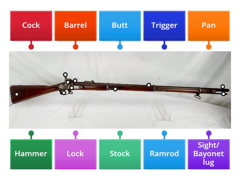 Musket Diagram - Labelled diagram