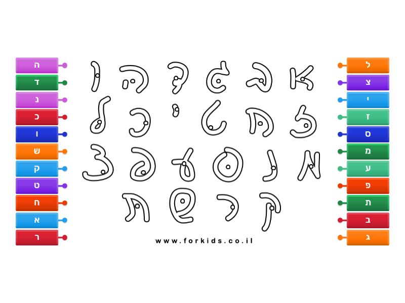 אותיות דפוס וכתב - Labelled diagram