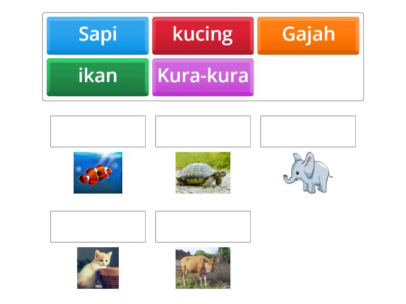 cocokan nama binatang sesuai dengan gambarnya - Match up