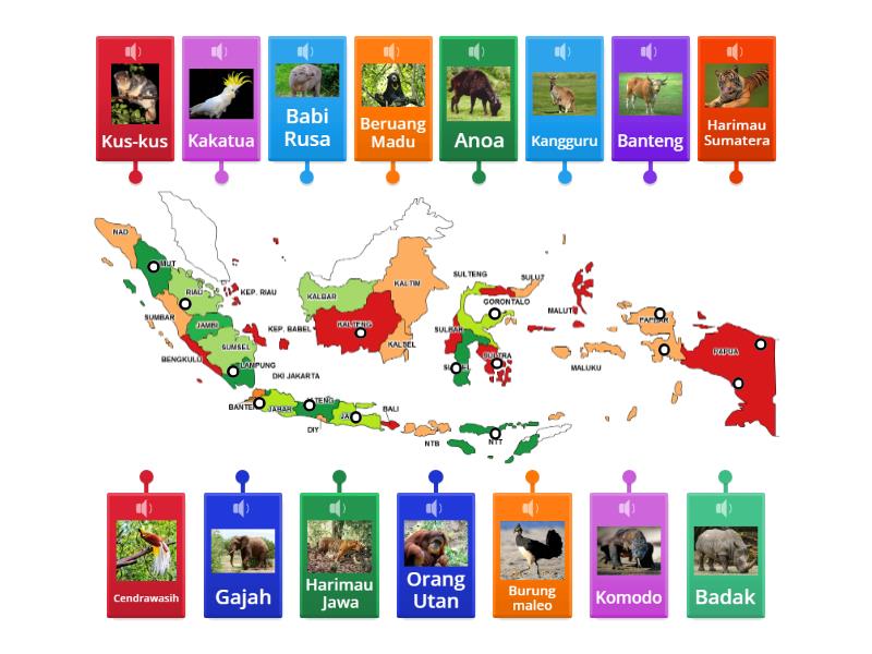 PETA PERSEBARAN FAUNA DI INDONESIA - Labelled diagram
