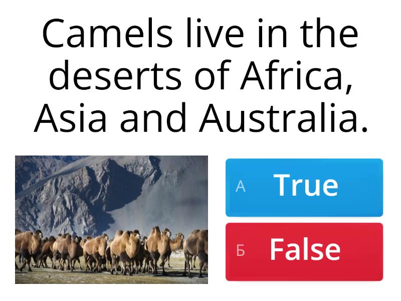 Desert Animals - Quiz