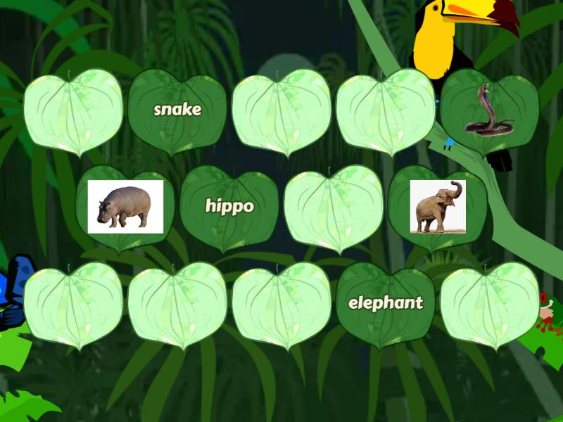 f KB 1 Unit 7 Wild animals - Matching pairs