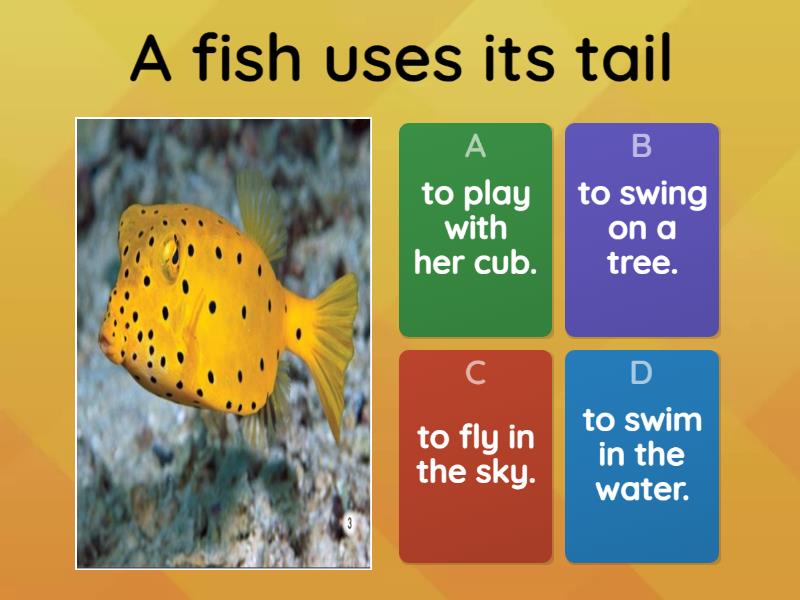 tails - Quiz