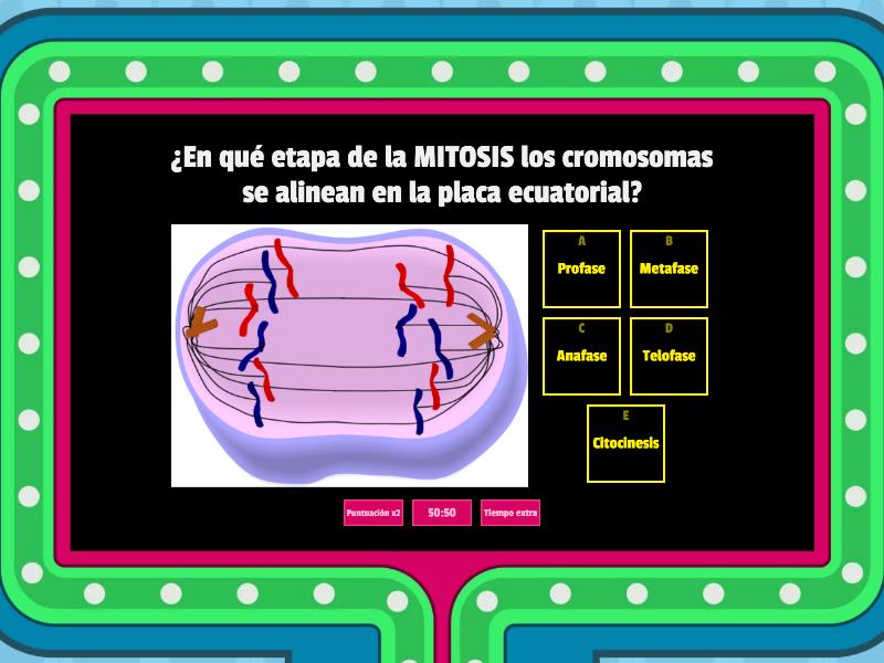 Estudio MITOSIS y MEIOSIS - Gameshow quiz