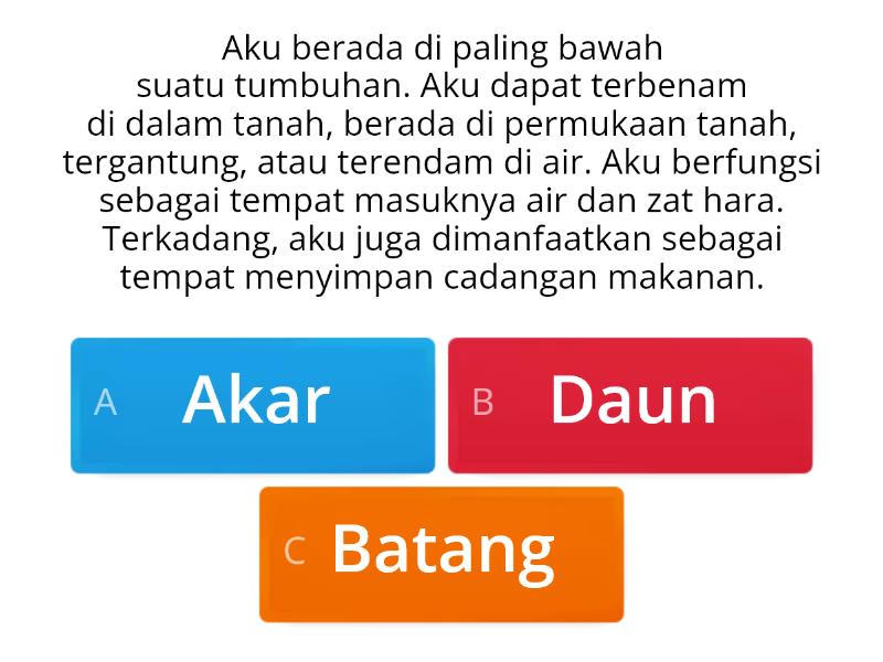 SMM 2 Kuis Mengenali Bentuk Dan Fungsi Bagian Tubuh Pada Tumbuhan