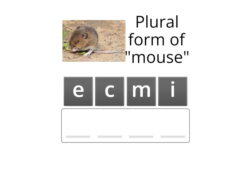 [A3] Singular & Plural Nouns - Anagram