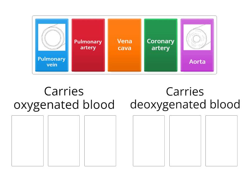 Oxygenated vs deoxygenated blood comparison
