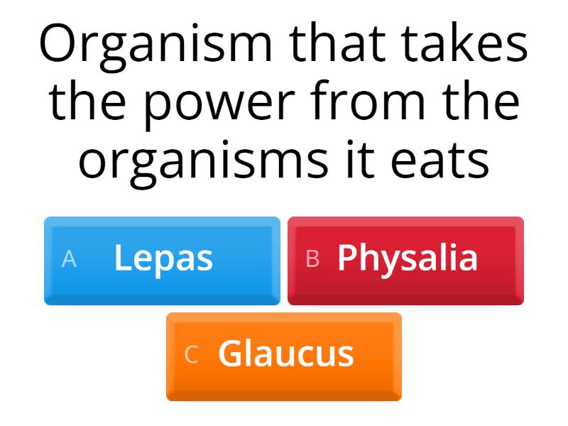 Other questions (Flotsam/Jetsam) Quiz