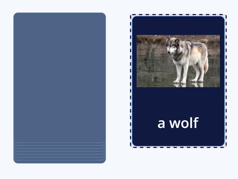forest animals flashcards - Speaking cards
