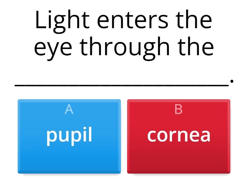 Vision - Quiz