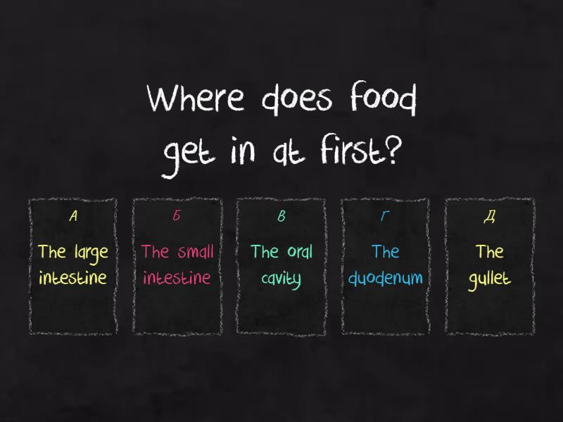 Digestive system quiz