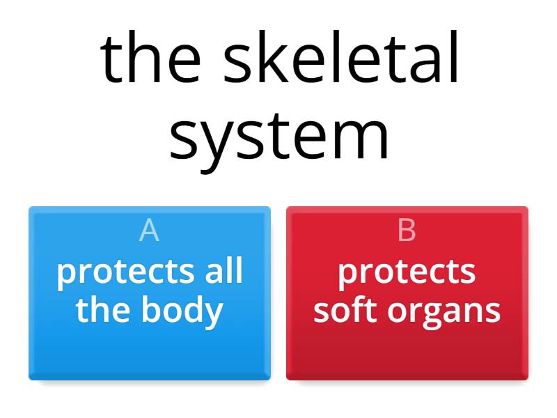 skeletal system Quiz
