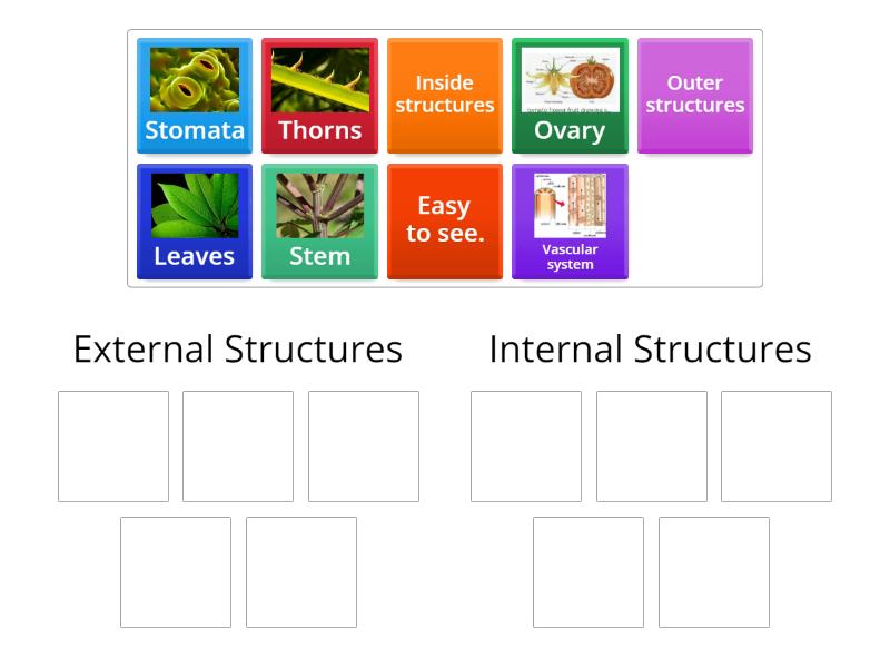 external-and-internal-structures-group-sort