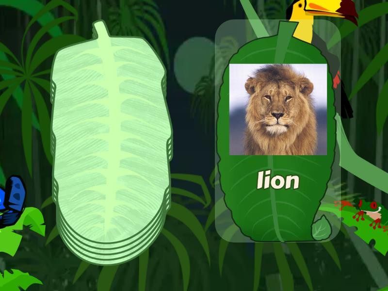 Kids Can starter unit 6 -Can lions run ? - Speaking cards