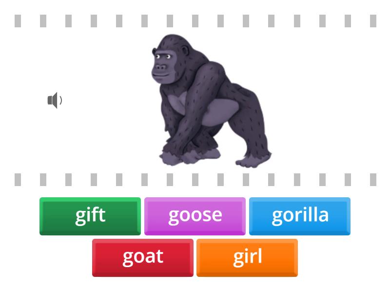 oxford phonics 1 Gg - Find the match
