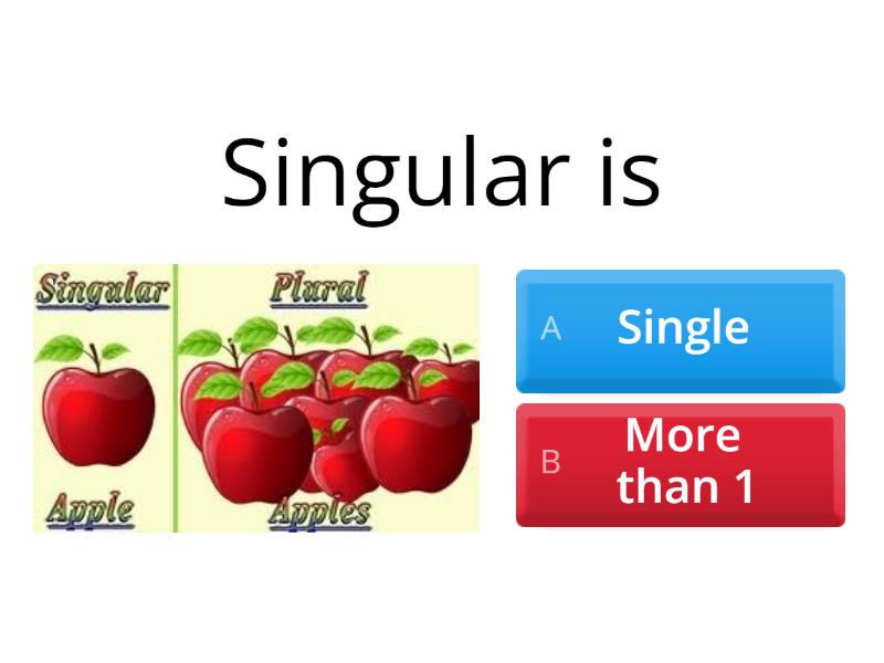 SINGULAR AND PLURAL NOUNS - Викторина