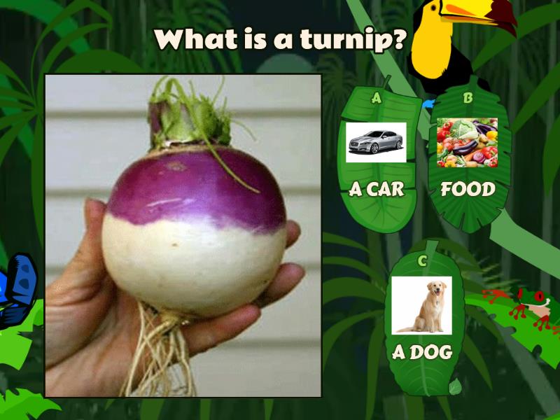 the-enormous-turnip-quiz