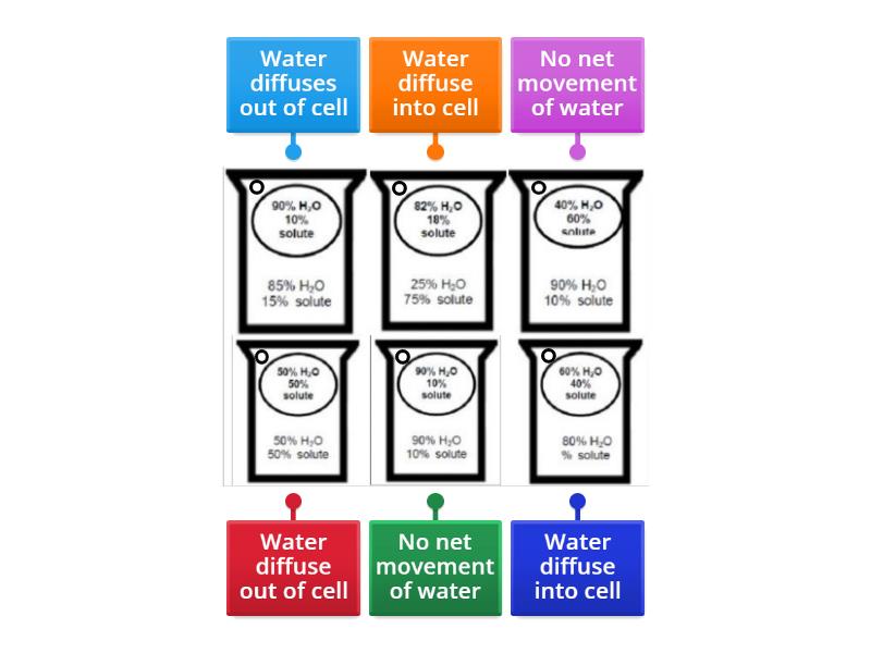 Direction of Osmosis - Labelled diagram